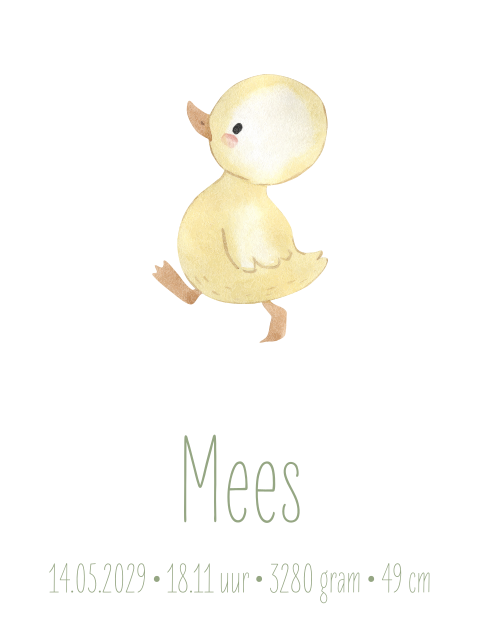 Poster waterverf eendje