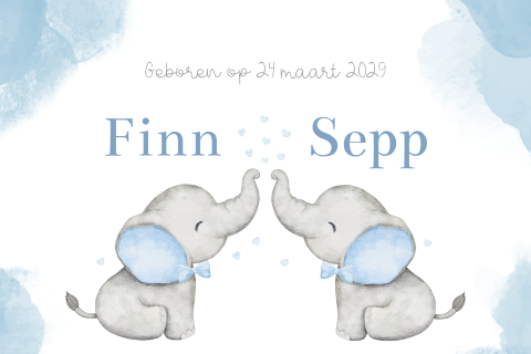 Geboortekaartje tweeling olifantjes jongens