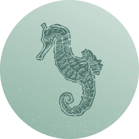 Stickervel glanzend | Groen abstract zeepaard