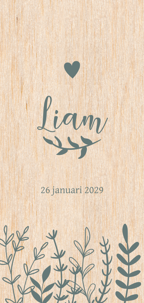 Geboortekaartje hout met groene takjes jongen