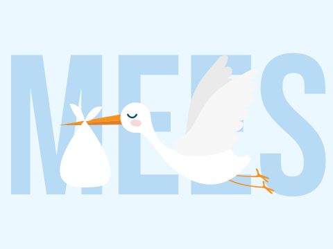 Poster met ooievaar voor de naam blauw