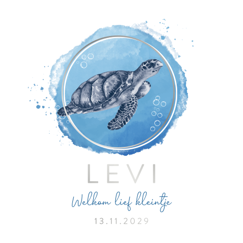 Geboortekaartje waterverf vlek schildpad