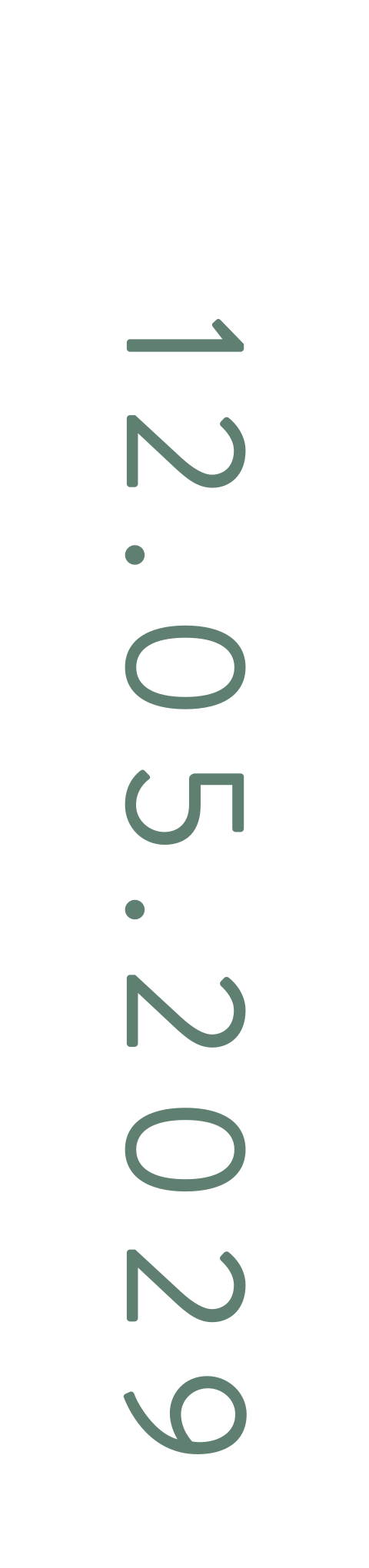 Label gaatje met geboortedatum | 16 stuks 85x20mm