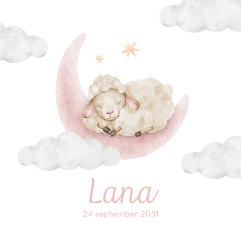 Geboortekaartje lammetje op roze waterverf maan