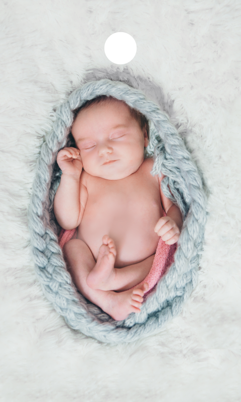 Label foto rechthoek 18 stuks 30x50mm