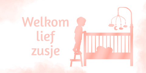 Label grote broer bij roze wieg 10 stuks 70x35mm