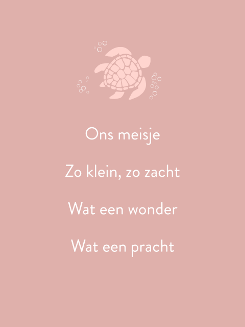 Poster schildpad illustratie roze
