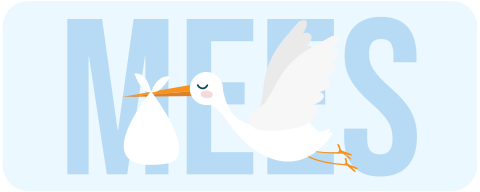 Stickervel naam met ooievaar blauw 14 stuks 75x30mm