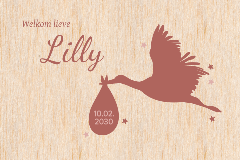 Geboortekaartje hout met ooievaar terra roze