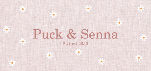 Enkele tweelingkaart met madeliefjes roze