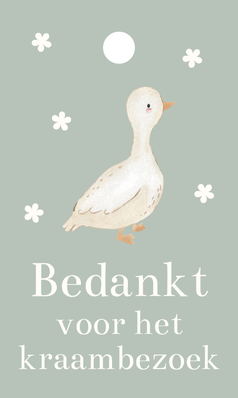 Doopsuiker label groen met lief gansje 18 stuks 30x50 mm