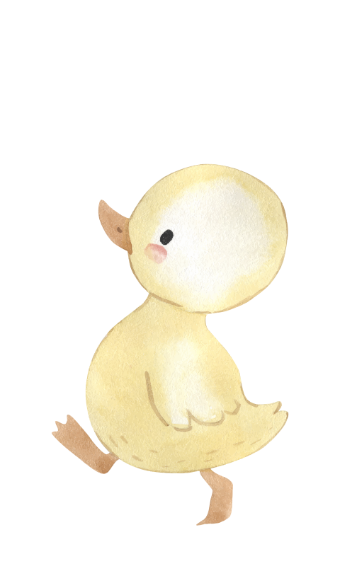 Label waterverf eendje 18 stuks 30x50 mm