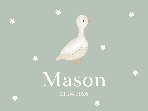 Memorybox lief gansje