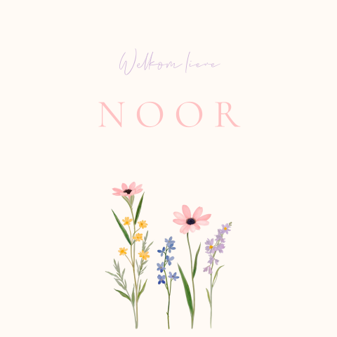 Geboortekaartje Kleurrijke wildflowers