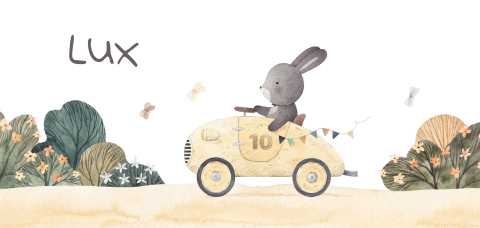 Geboortekaartje panorama konijn in racewagen