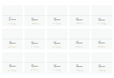 Naamkaartjes Gevouwen Takje