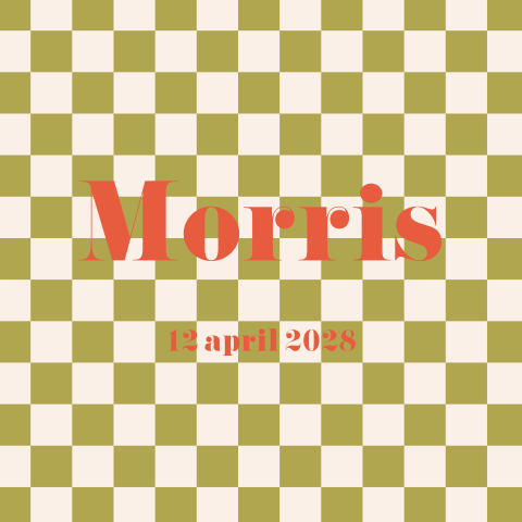 Geboortekaartje jongen geblokt groen