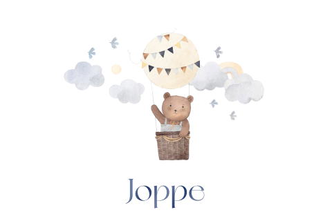 Geboortekaartje jongen luchtballon met beer en vogels
