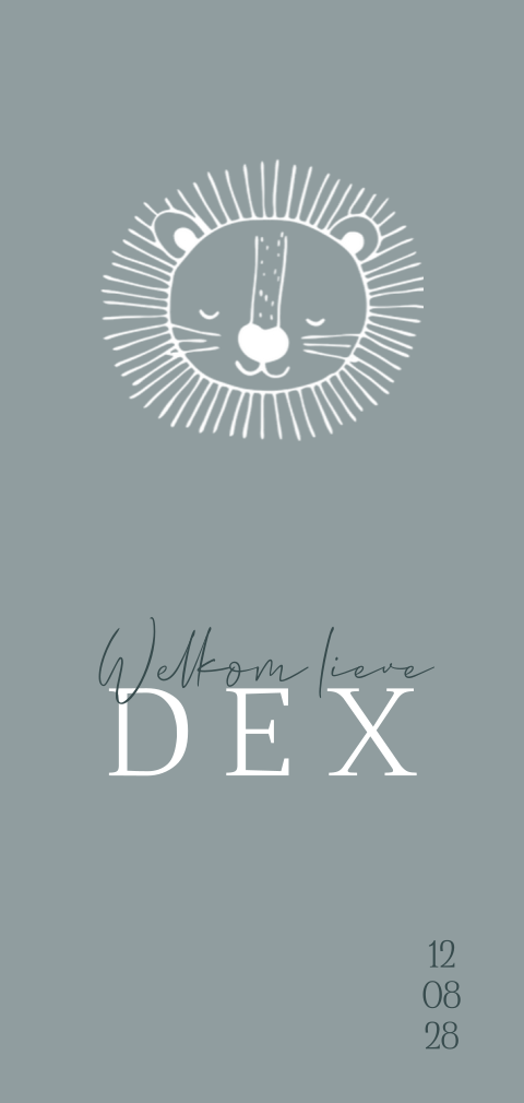 Geboortekaartje jongen minimalistische leeuw