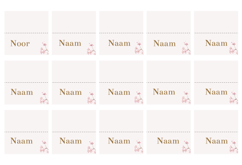 Naamkaartjes Gevouwen Sakura