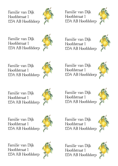 Adresstickers Citroen