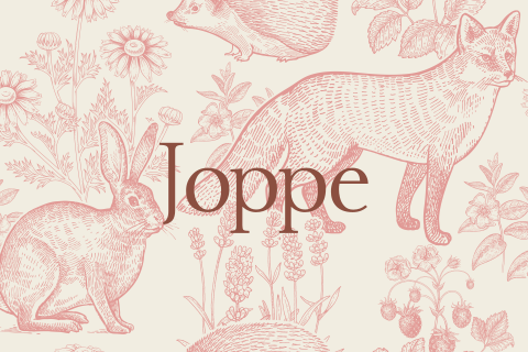 Geboortekaartje jongen retro vintage dieren