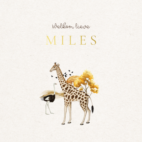 Geboortekaartje neutraal beige met giraffe en struisvogel