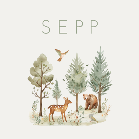 Geboortekaartje Jongen Bosdieren