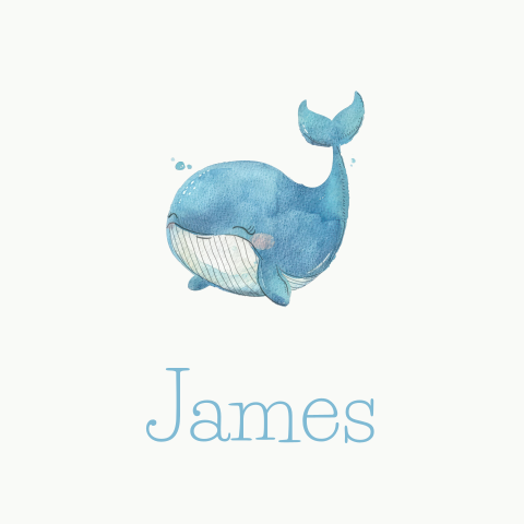 Geboortekaartje Walvis blauw