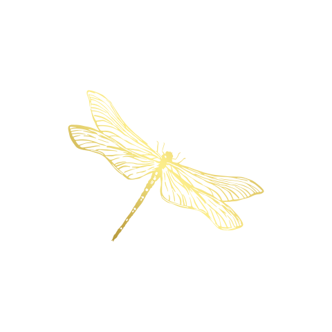 Sluitzegel sticker 35mm rond lijntekening libelle goudfolie