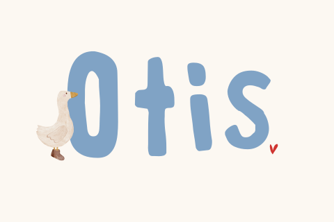 Minimalistisch letter geboortekaartje blauw jongen gansje laarsjes