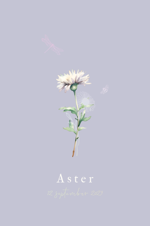 Geboortekaartje geboortebloem maand september aster regenboogfolie