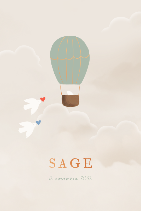 Geboortekaartje aquarel luchtballon wolken vogels koperfolie