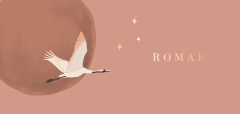 Geboortekaartje panorama meisje vollemaan kraanvogel vliegend rosegoud
