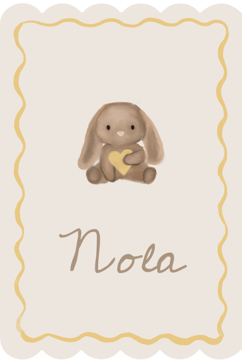 Raambord tweeling golfjes 40x60cm teddy konijn geboorteaankondiging