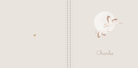 Kraambezoekboek 25cm aquarel vliegende ooievaars maan