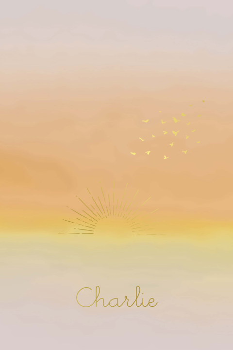 Poster kinderkamer met zonsondergang achtergrond, zon en vogels
