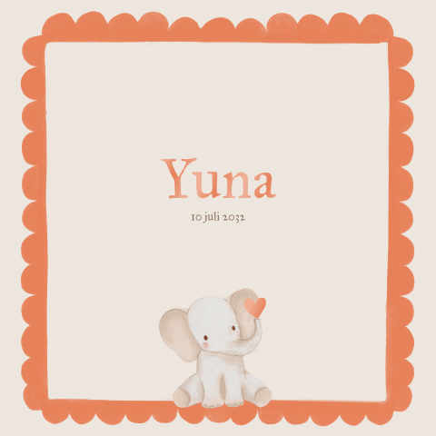 Lief geboortekaartje golfjesrand olifantje hartje hoogglans naam