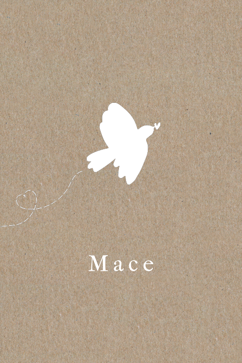 Kraft geboortekaartje minimalistisch boho vogel hartje