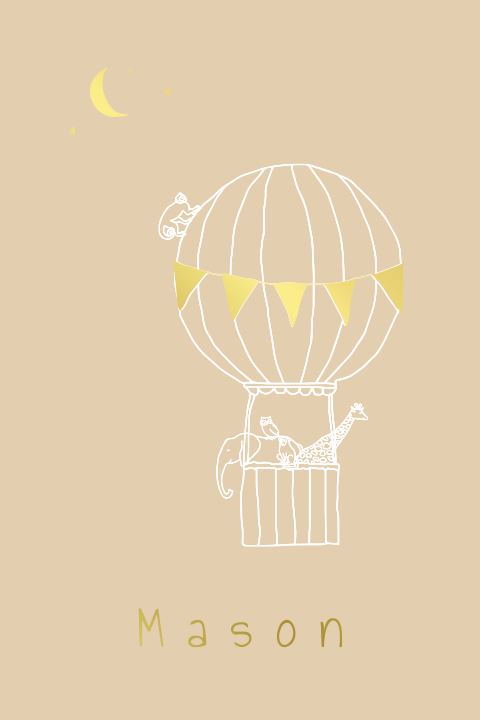 Poster met dieren in luchtballon in de nacht