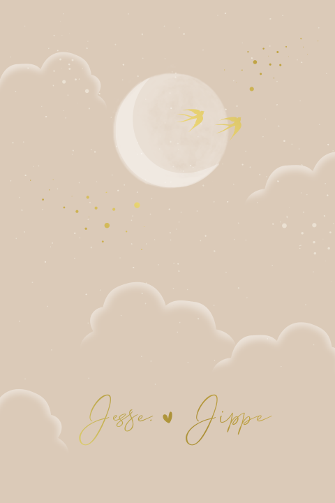 Tweeling openslaand geboortekaartje zwaluwen maan wolken goudfolie