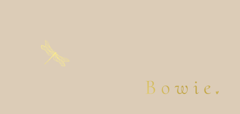 Panorama minimalistisch geboortekaartje libelle goudfolie beige