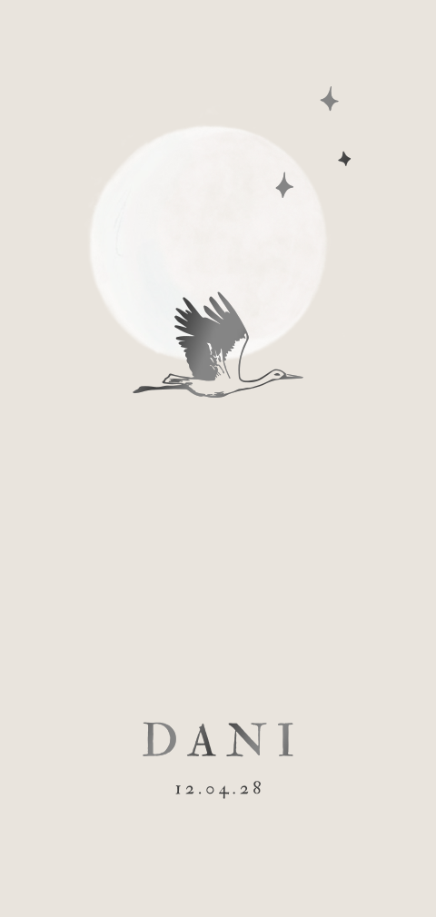 Langwerpig klassiek geboortekaartje met ooievaar volle maan hoogglans
