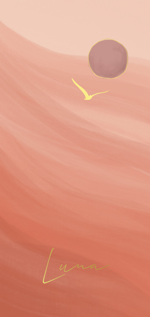 Geboortekaartje met golvende lucht, maan en vogelsilhouette