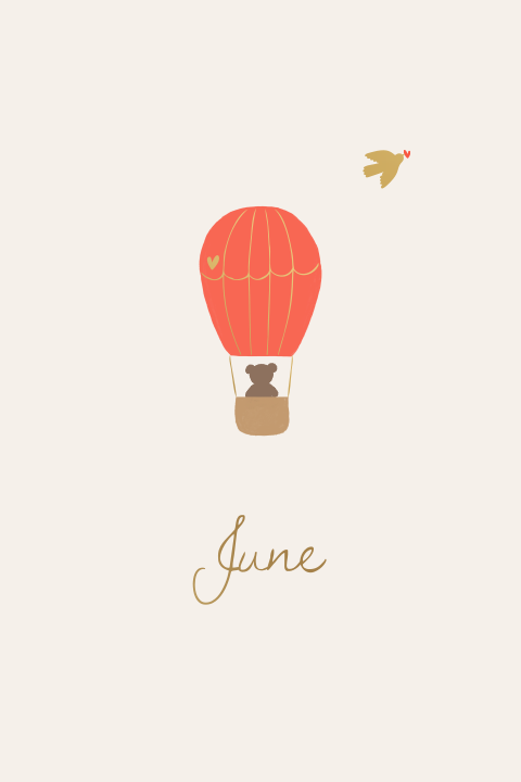 Geboortekaartje aquarel luchtballon vogel teddybeertje silhouet folie