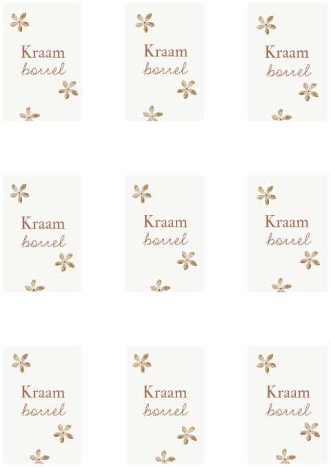 Rechte kraamborrelkaartjes 5x7,5cm voor geboortekaartje