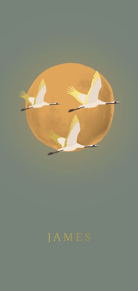 Geboortekaartje lang kraanvogels vliegen vollemaan familie goudfolie