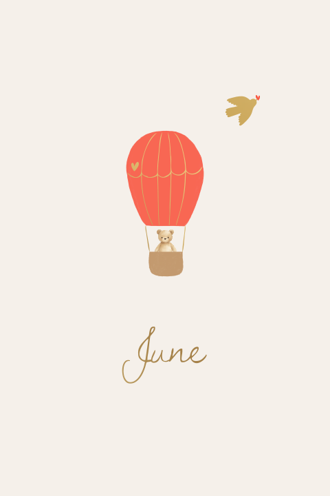 Geboortekaartje aquarel luchtballon vogel teddybeertje silhouet folie