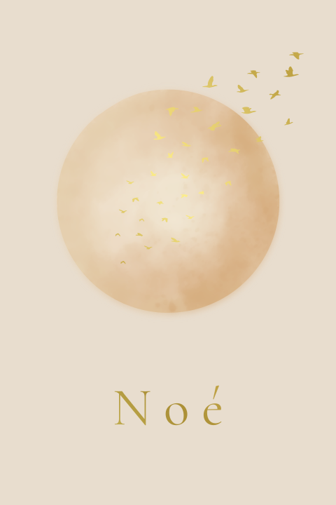 Minimalistisch geboortekaartje zon vogels vliegen beige goudfolie