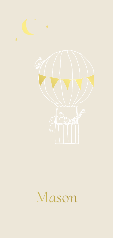 Geboortekaartje met dieren in luchtballon in de nacht